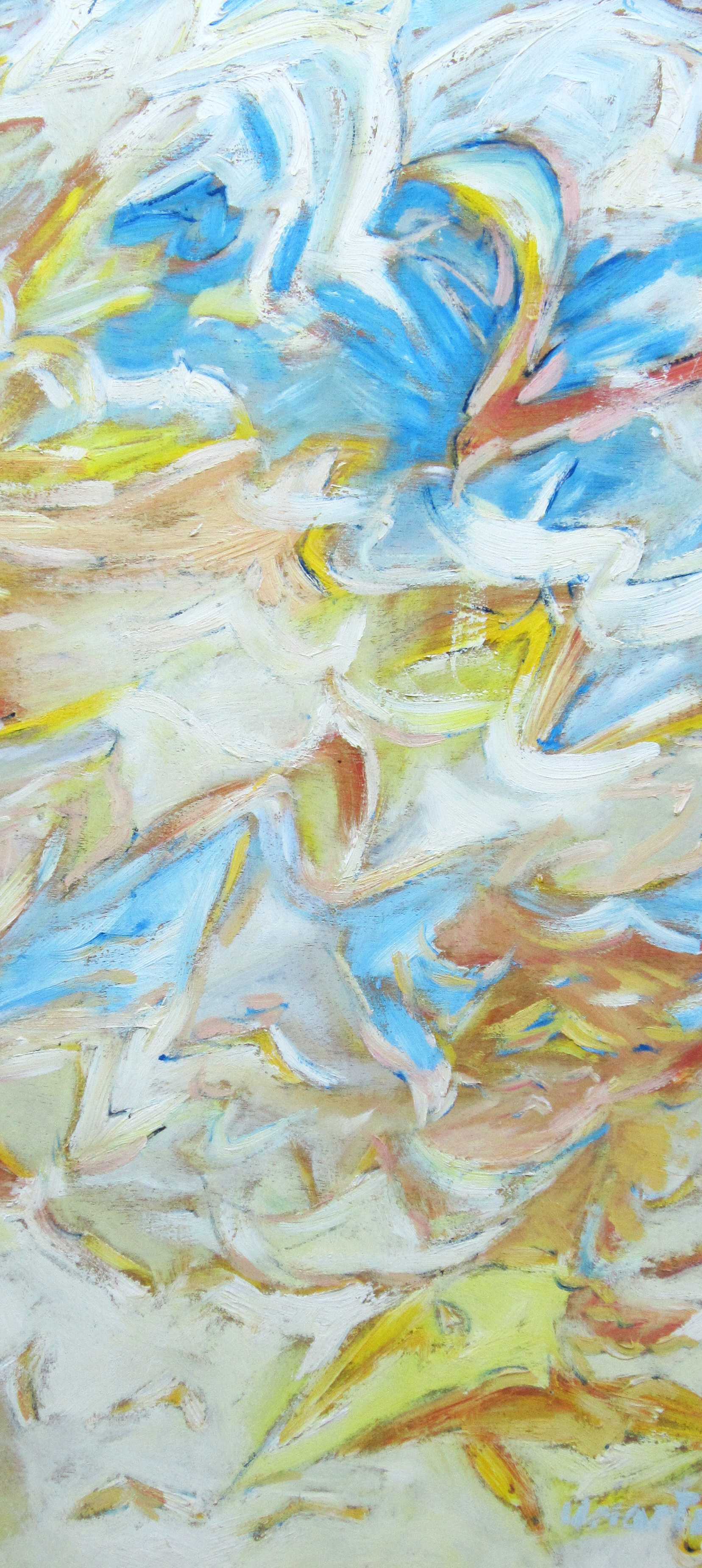 Gaviotas sobre la Bahía